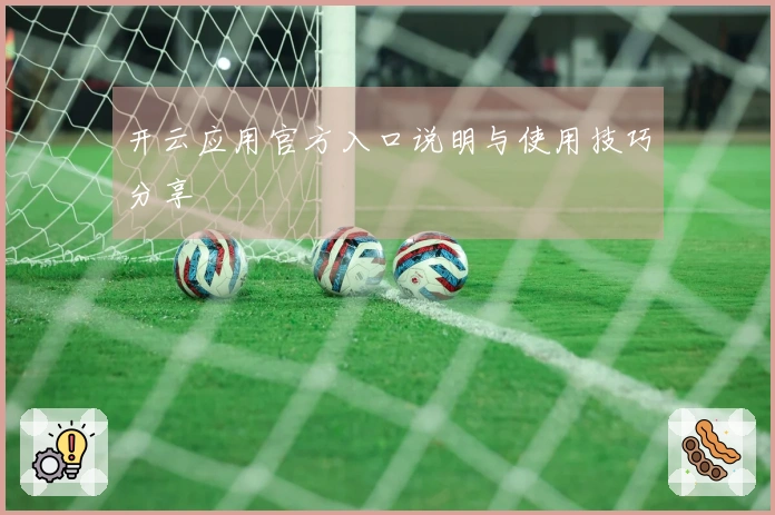 开云应用官方入口说明与使用技巧分享