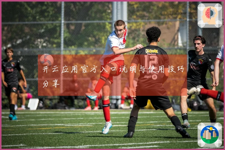 开云应用官方入口说明与使用技巧分享